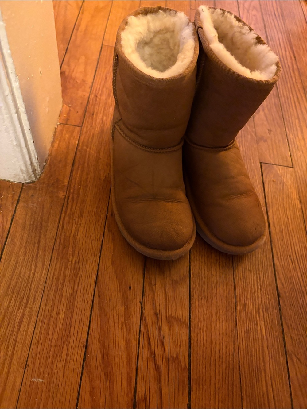 UGG Kids Chestnut Brown Shearling Lined Boots